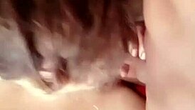 Nigarchrist - Update 1362 - Petal 20250609 110547 - Jun 09 2025