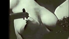 vintage mother nature beaver hairy pussy exposed!