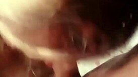 Nigarchrist - Update 1362 - Petal 20250609 110547 - Jun 09 2025