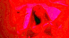 意大利巨乳熟女俱乐部发骚扭臀