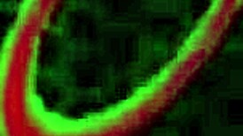 busty exotic blonde lusciously kisses, sucks, and milks rome majors' monster cock in blowbang