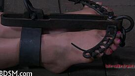 bdsm electro castigation session