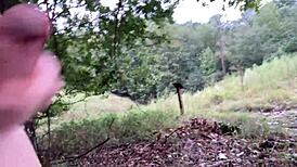 clitlicker662 update 8 img 0569 sep 29 2024