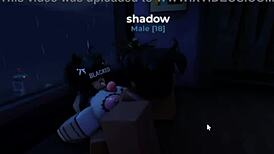 verification video to verify the model's identity and features