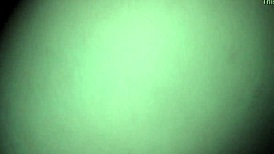 hot bbw redhead, you want me to fuck you doggie style?