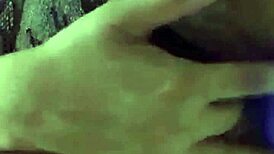 Aurora estelar se muestra en el baño de su casa