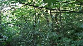 i watch girlfriends masturbate in public forest 😍