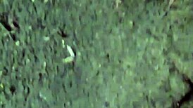 Overwhelmed Trans Woman Reveals Herself Publicly