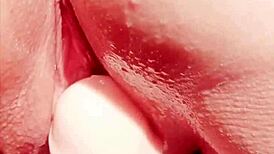 Mature cougar teases viewers with wet pussy spreading