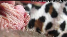 Intense Clit Orgasm Close-Up Evokes Deep Emotions