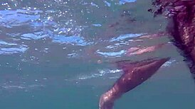 Uncle naked on the beach, intriguing sight