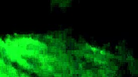 Petite college teen caught in public park scandal