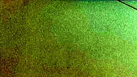 Neighbor Calls For Coffee Turns Unexpected