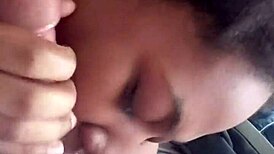 Isn't This A Good Neck That Looks Very Nice?