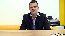 Gay Fellatio Porn: Intriguing Contrast Between Gentle and Intense Acts