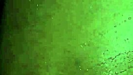 I was offered hot fat ass pussy on a platter of gold please subscribe