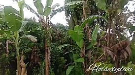 Two college students fucking like never before inside bush during school hours