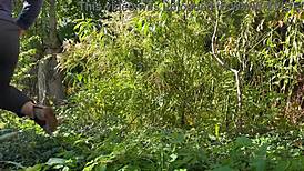 My stepmom craves her stepson's outdoor attention