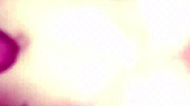 cum on tits big dick amateurs