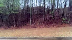 clitlicker662 shares update 32 image