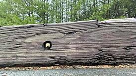 clitlicker662 shares update 32 image