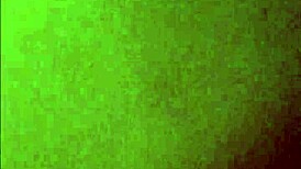 hey, check out my chubby friend hanging out?