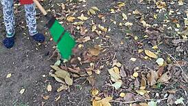 the forester girl and i shared an intimate moment in the hut, exploring our desires under the trees - lesbian illusion girls