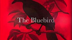 I watch blowjob and monster fucking in lesbian retro scene