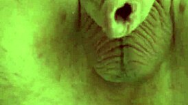 watch this uncut big tattooed cock cum hands free from anal prolapse?