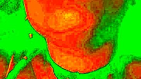 Exotic Bluee shows pleasure while pussy licked