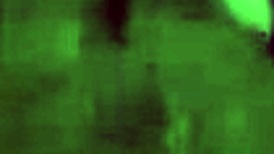 cheating wife sucks and fucks stranger outdoor before he creampies her in the hotel