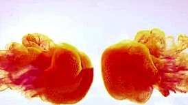 i lap up my own piss