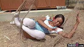 farm owner enjoys threesome with two shemales