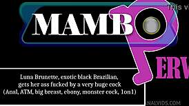 Luna's Exotic Brazilian Ass Fucked by Huge Monster Cock in Anal ATM with Big Ebony Breasts.