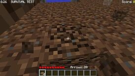 The strangest and worst minecraft versions you might not know.