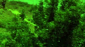 the horny milf hooked the hung fisherman's rod