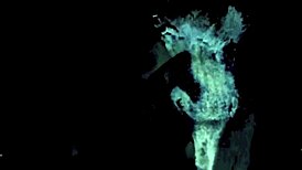 Dark Lantern Entertainment Presents Two Centuries Of Vintage Porn