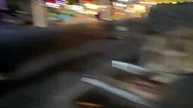 nothing to see here - not a crazy cat lady feeding stray cats in thailand d