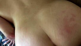 Good white flower blooming in the garden under the sun