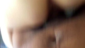 Good white flower blooming in the garden under the sun