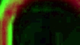 Nasty Rome Major slides his dick in sexy Vanessa's throat after anal