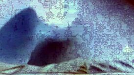 soft white girl, you worshiping that big black dick?