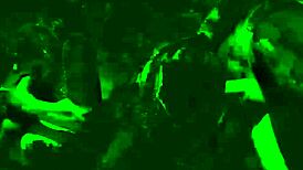 Seductive Milf Kaia Kane Drains Two Hard Cocks