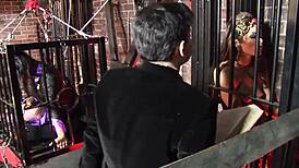 kinky milf orgy in cage with chains and domination 😈