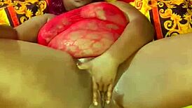 Nigarchrist - Update 1560 - Petal 20250706 103937 - Jul 06 2025.