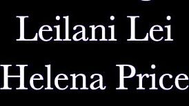 Getting Don Up Trailer