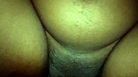 Iamkingsnake ig showcases amateur teen pussy compilations