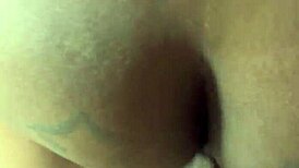 Bold Pirates of the Caribbean Adventure