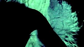 ever seen vintage interracial hairy blowjobs and fucking?