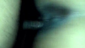 ebony wet pussy slammed doggystyle by monster black cock